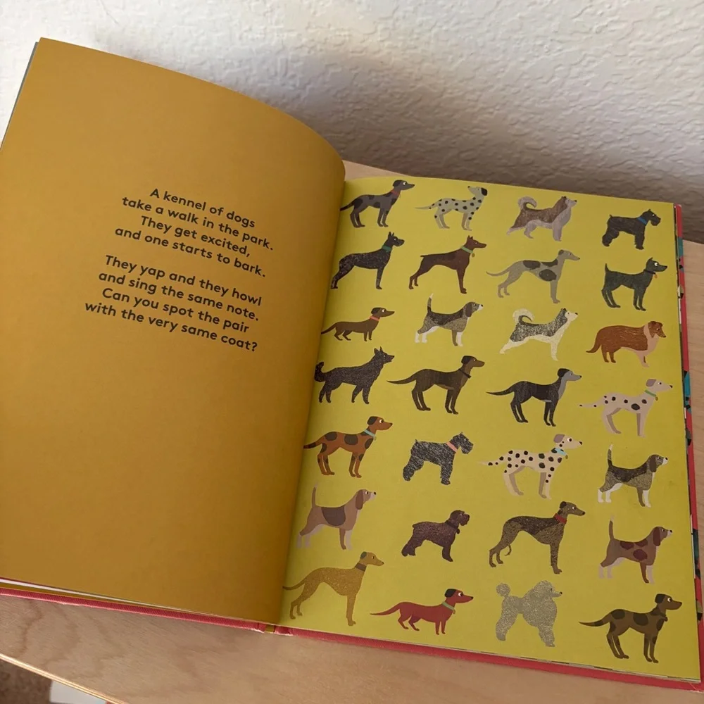 Where's The Pair? Spotting Book - Children’s Hardcover Book